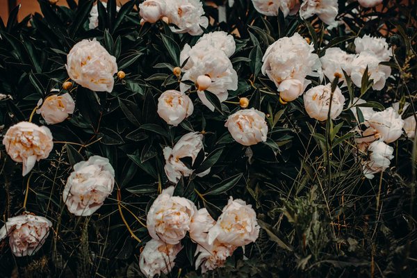 Rénover une salle de bain avec du carrelage mosaïque